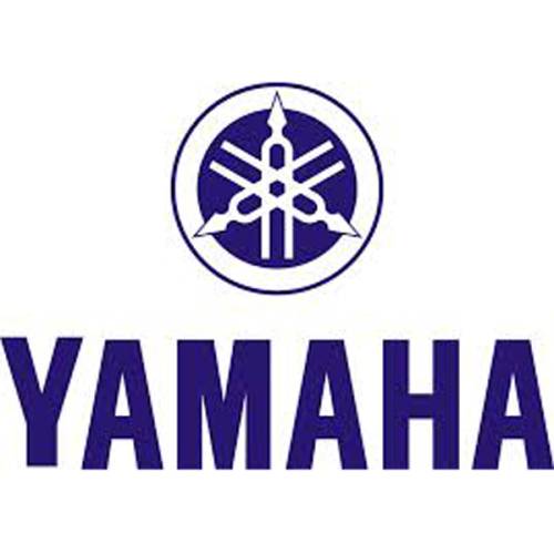 Complete Suspension Systems with Shocks - Yamaha
