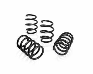 SPECIAL EDITION PRO-KIT Performance Springs (Set of 4 Springs) - E10-201-002-01-22