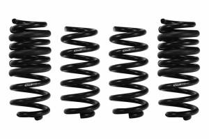 SPECIAL EDITION PRO-KIT Performance Springs (Set of 4 Springs) - E10-51-022-01-22